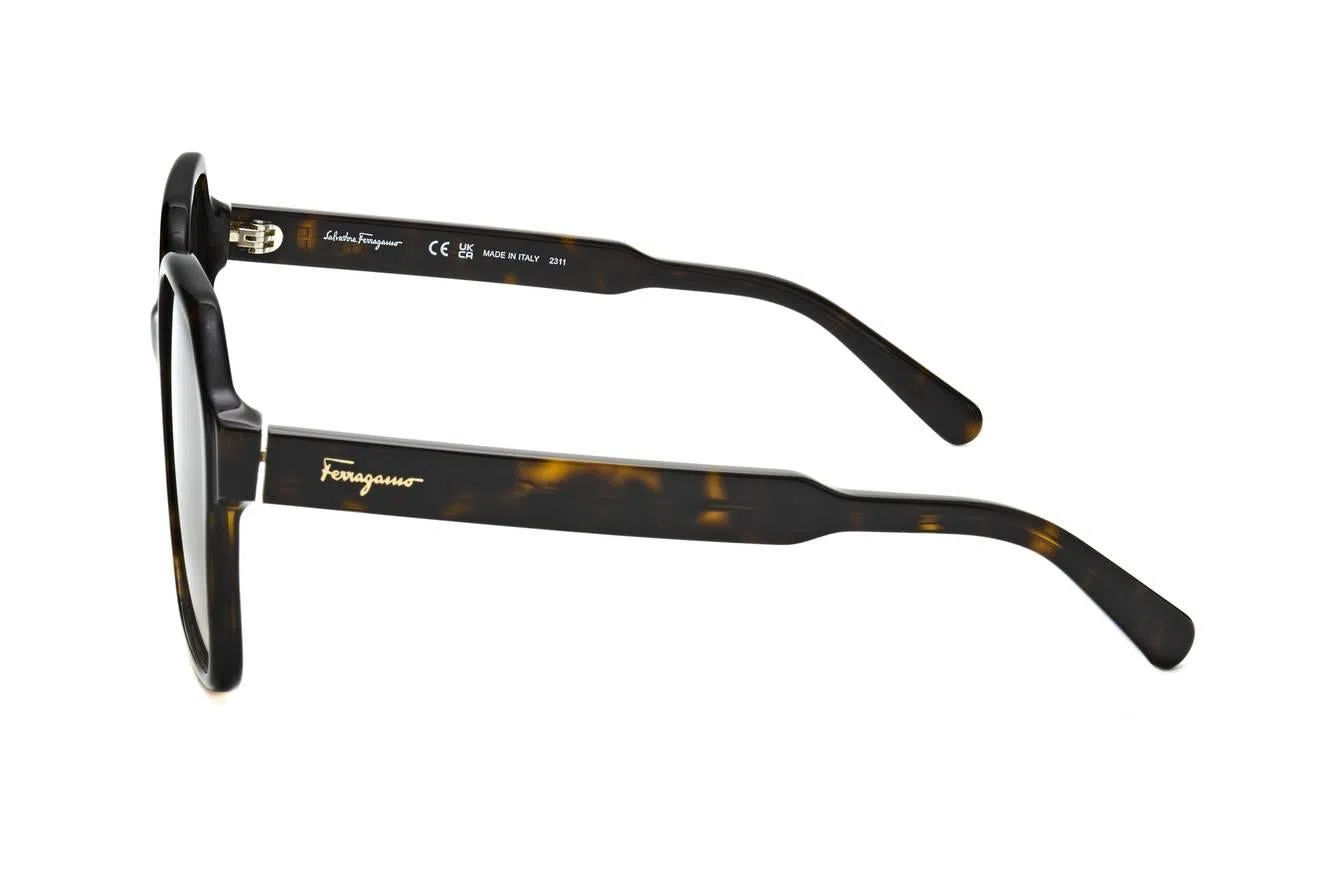 Ferragamo SF1069S Sunglasses - view 3